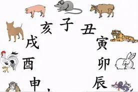 十二生肖的家都是什么图片