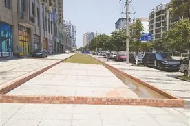 绿化面积不够，砖上铺草皮凑？武鸣一小区张冠李戴被曝光图片