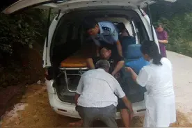 蜇伤5人，蜇死1人！重庆6位村民遭马蜂攻击，马蜂到底有多毒？图片