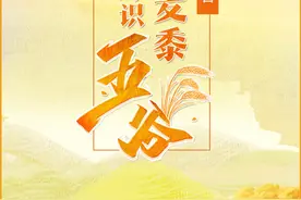 H5 | 世界粮食日：稻菽稷麦黍 今天好好识“五谷”图片