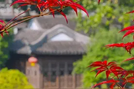 愚园，又一处赏秋好去处图片