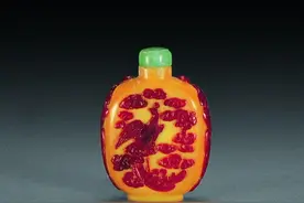 这种鸟头骨做出的“艺术品”，曾经是贵族们的最爱！悲剧就此发生图片