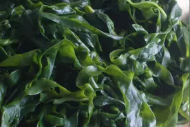 “裙带菜”和“海带”有啥区别？今天才知道，以后不再买错图片