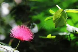 故失道而后德，失德而后仁，失仁而后义，失义而后礼图片