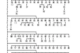 一张图得知你的血统图片