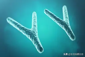 2007 年有多特别？图片