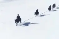 遇见你丨哒哒哒，听到马蹄声，补给就来了……图片