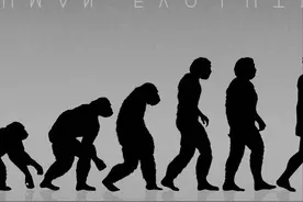 人类是来自于外星球的吗？科学家从人体3个特征对进化论提出质疑图片