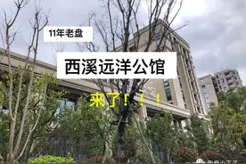 吐血解答！西溪公馆适合投资吗？买哪个户型最好？全都告诉你图片