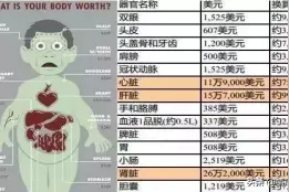富二代晒人骨皮包的残忍真相：“我炫富，靠的是鲜血和人命”图片