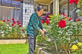其美卓嘎：我在北京有一个汉族妈妈叫“央金”图片