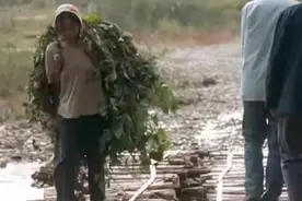 一个女人与三个男人的故事：爱人就在身边，别辜负图片