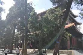 曲阜孔庙游记（五）明代成化碑、奎文阁、十三碑亭的寓意图片