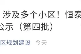 突发！园区“1”字头人才房又来了！最低68万起，238套，明天开始认购图片