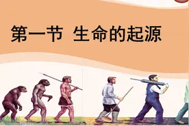 生命的起源图片