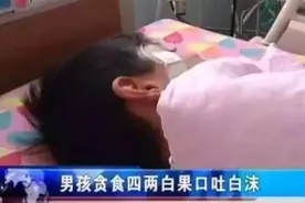有人为了保健，有人吃了中毒……老杭州又开始捡这些果子了图片