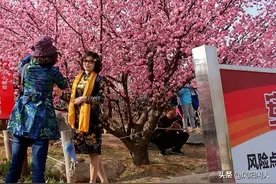 游烟台市南山公园（桃花园）图片