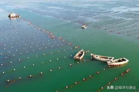 来了！《广东省休闲渔业管理办法》全文图片