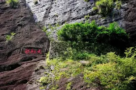 揭秘：“茶中之王”大红袍图片