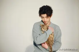 惊！养猫难道会让男人变娘炮图片