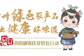 助农团团丨雪裙仙子、菌中皇后，织金红托竹荪图片