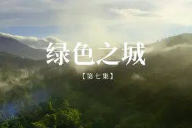 系列时政微视频丨绿色之城——跟着总书记一起建设美丽中国图片