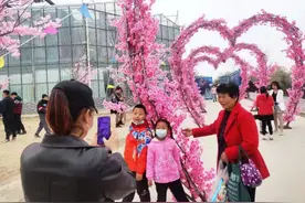 武威开心农场樱花·恐龙乐园给你不一样的开心图片