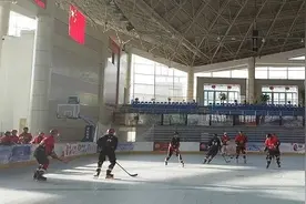 科普：轮滑冰球图片