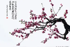摄影技巧：怎么样用相机把桃花拍成“国画”图片