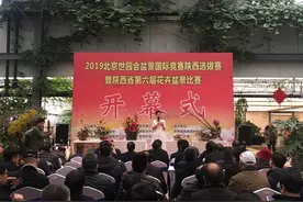 2019北京世园会盆景国际竞赛陕西选拔赛在长安区举行图片