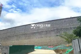 四川攀枝花花城新区干荷路工程加筋土挡墙(25m)图片