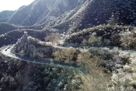 春天里 行驶在京郊昌赤路上穿越山花海图片