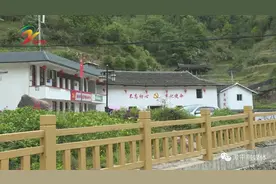 【一革命四行动】漳平市吾祠乡留地洋村：党员引领 扮靓乡村图片