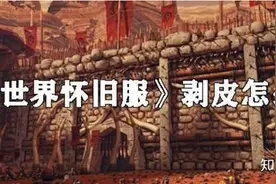 《魔兽世界》怀旧服练级路上的黄金技能 升级买马都靠它图片