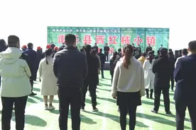南乐县举行西红柿小镇项目开工仪式图片