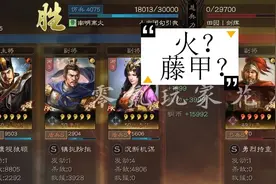 三国志战略版：白板藤甲兵不怕火，15统御的张春华女王盾图片