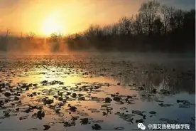 普拉那，一切事物中隐藏的潜能图片