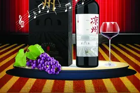 喜讯｜热烈祝贺凉州生态干红葡萄酒·手选黑比诺2019荣获第28届比利时布鲁塞尔国际葡萄酒大奖赛银奖图片