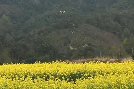 传家训扬新风之205/都昌县阳峰乡侯家山：阳储峰下侯门昌图片