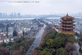 湖北：浴火重生这一年图片
