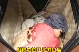 网约车男乘客行李箱里传出女孩叫声！司机紧急报警图片