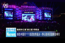 绿色中国行——走进世界苗乡·养心彭水公益晚会举行图片