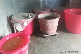 贺州市李老板猪场清场后靠仅剩的6头母猪成功复养复产，东山再起图片