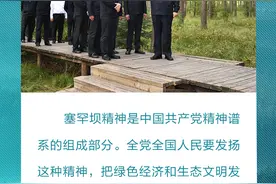 热解读｜从一棵树到一片“海”塞罕坝精神的“绿色接力”图片