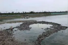 浙江嘉兴现神秘天外来物，水面持续冒出气泡，深挖两米未见踪迹图片
