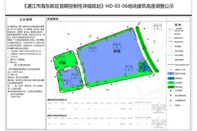 起飞！湛江海东新区一块20.68万㎡新型产业用地规划出炉图片