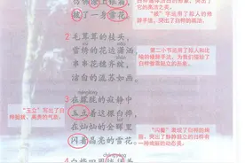 四年级语文下册，第11课《白桦》课堂笔记及全文解析图片
