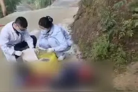 重庆奉节男童被三条恶狗咬死，父亲：和解金55万，因是同村的才让步图片