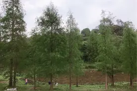 同沙生态园游玩图片