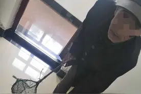 抓“蛤蟆”20只以上构成犯罪！｜五常市一男子自制网兜捕140只林蛙图片